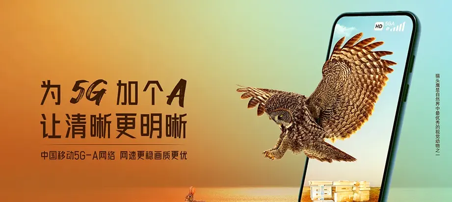 睢县睢县城关回族镇 移动宽带